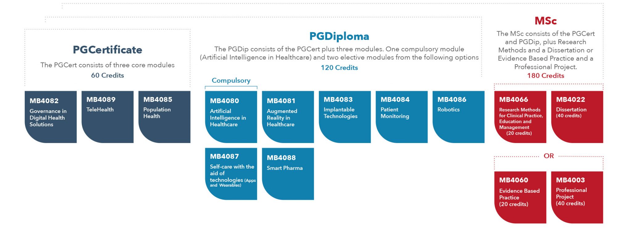 pgdip in global health research